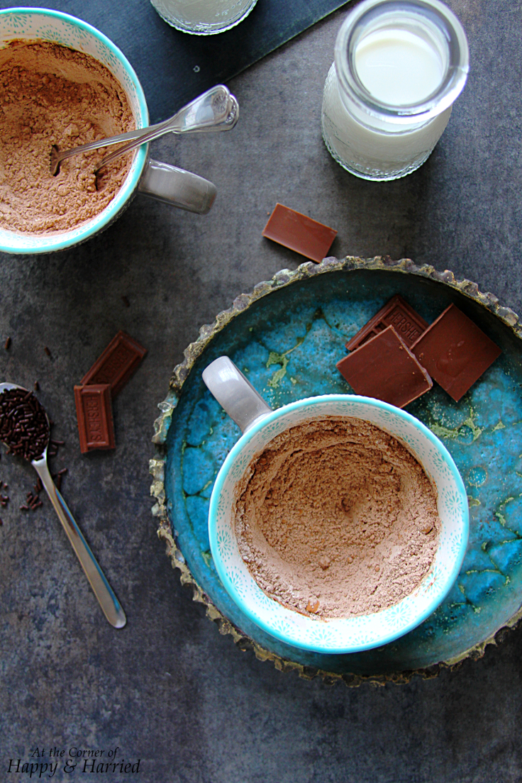 Best Ever Chocolate Mug Cake