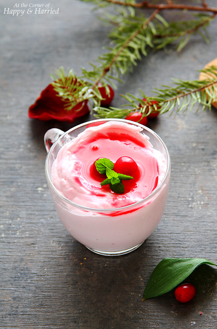 Fluffy Cranberry Mousse